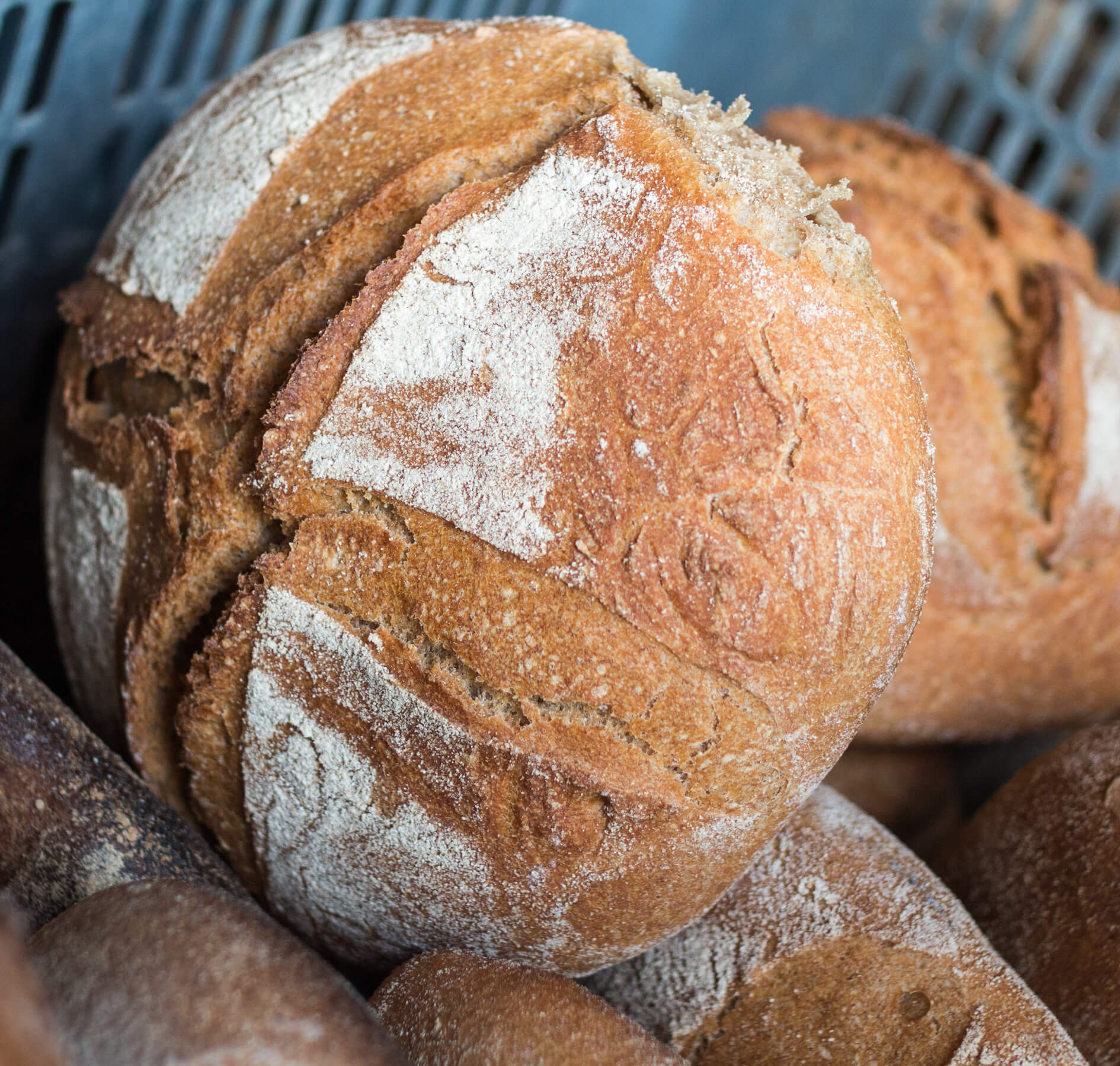 pain au levain