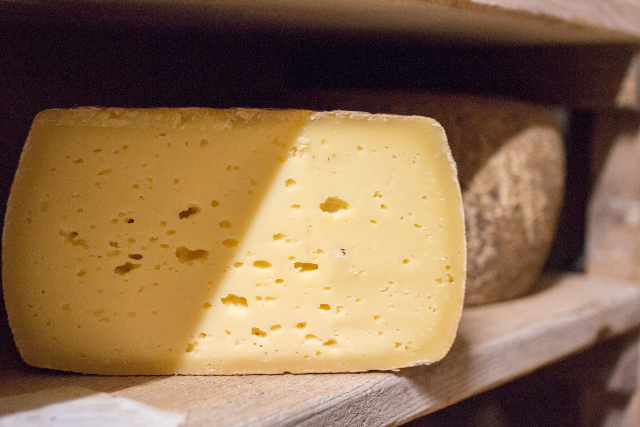 fromage La bellis